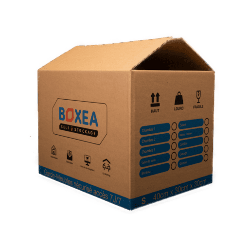 CARTON BOXEA S.