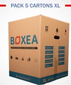 PACK_5_CARTONS_XL