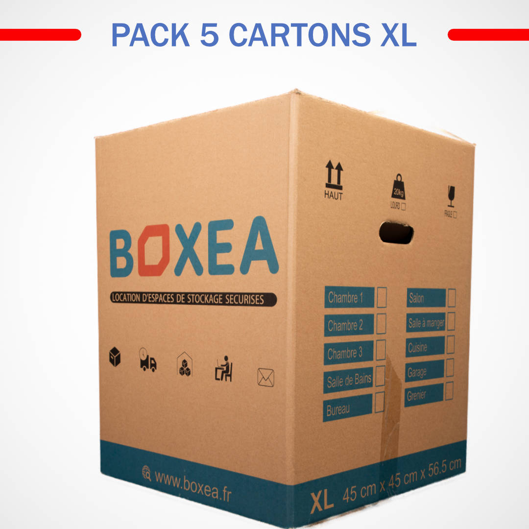 PACK 10 CARTONS S - IZIBOX