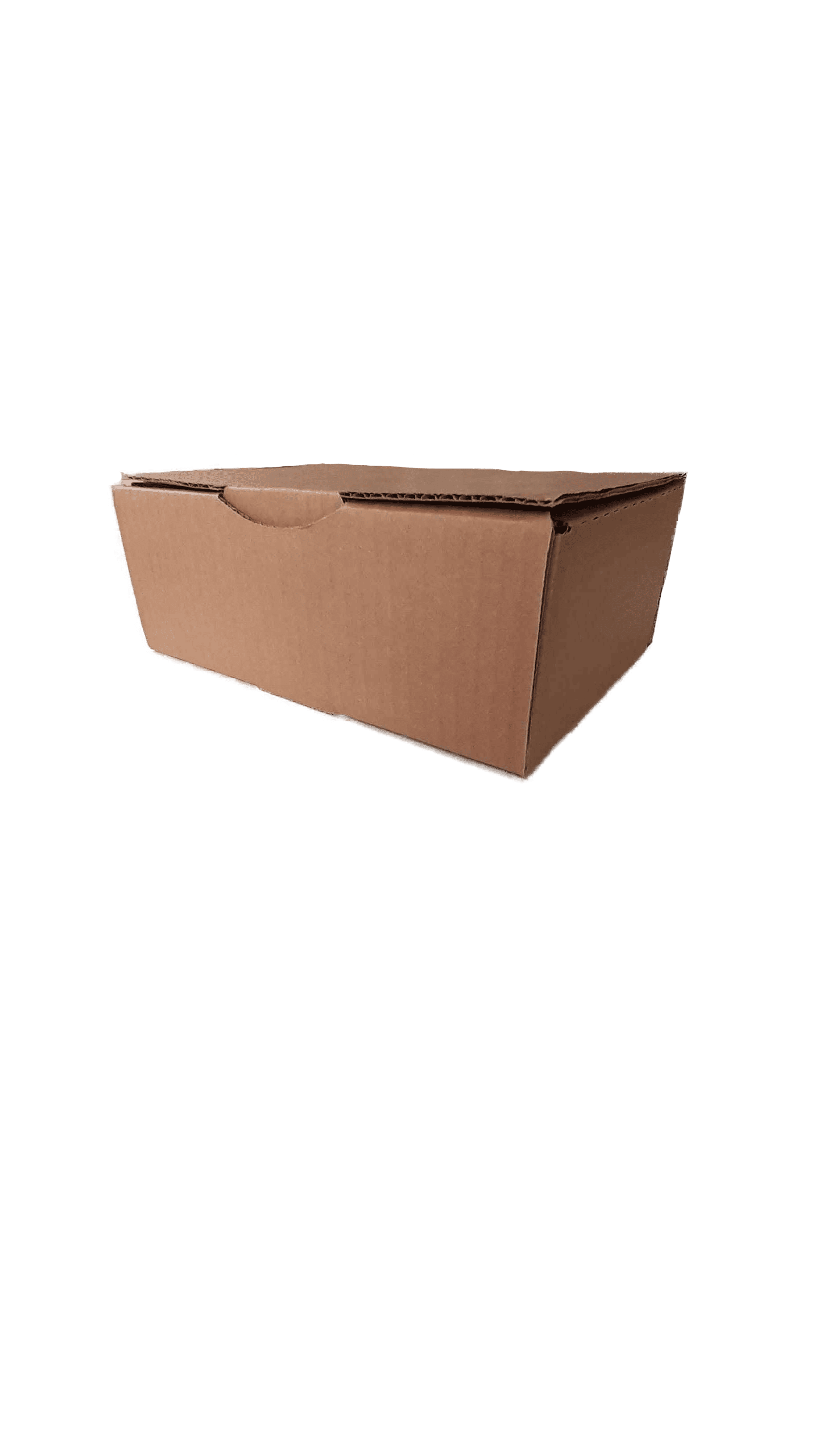 PACK 10 CARTONS S - IZIBOX