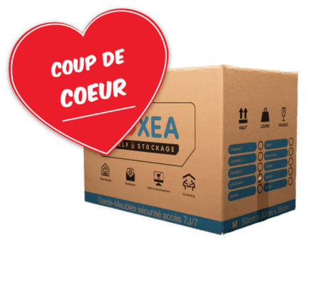 Carton BOXEA taille Médium